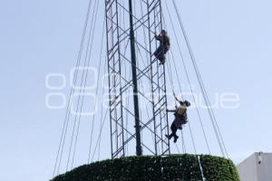 CCU . ÁRBOL DE NAVIDAD