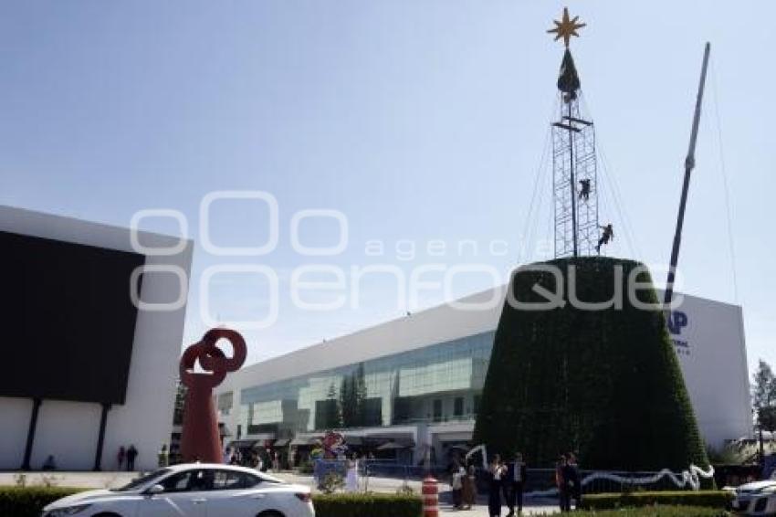 CCU . ÁRBOL DE NAVIDAD