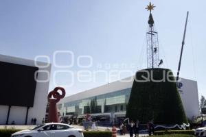 CCU . ÁRBOL DE NAVIDAD
