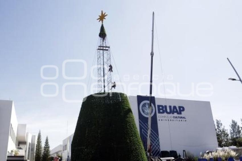 CCU . ÁRBOL DE NAVIDAD