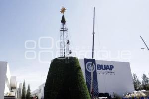 CCU . ÁRBOL DE NAVIDAD