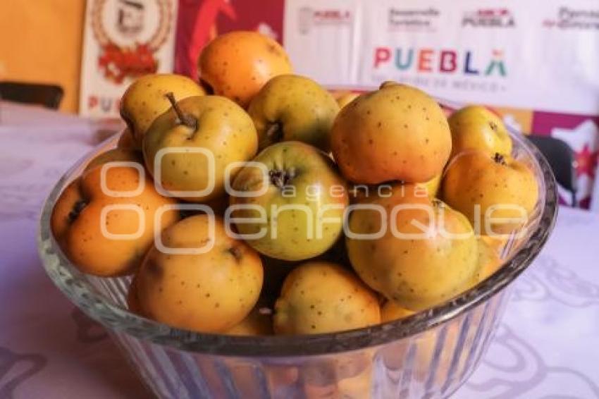 TURISMO . FERIA DEL TECOJOTE