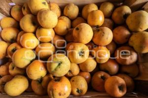 TURISMO . FERIA DEL TECOJOTE