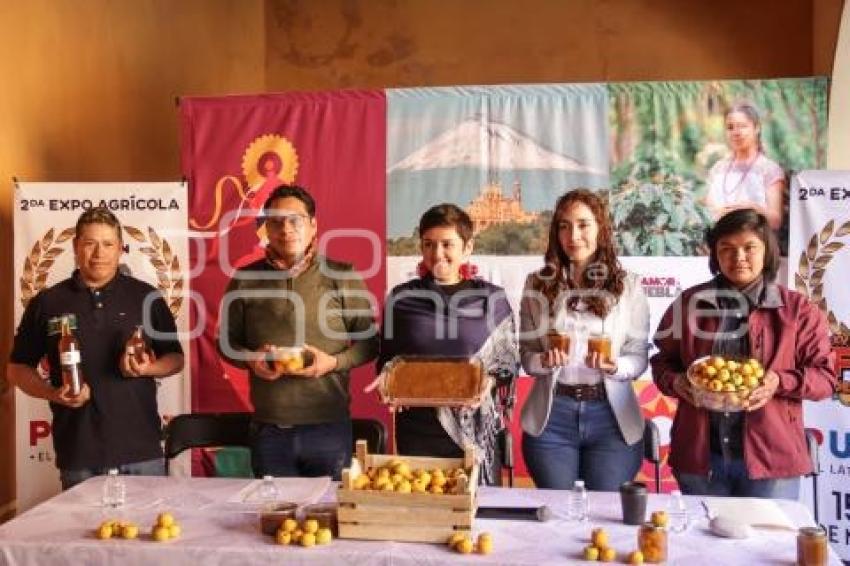 TURISMO . FERIA DEL TECOJOTE