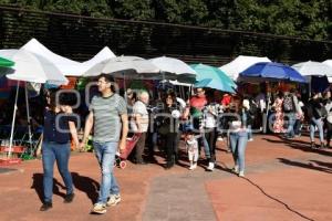 FESTIVAL DE LA CHALUPA