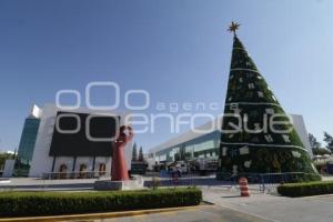 CCU . ÁRBOL DE NAVIDAD