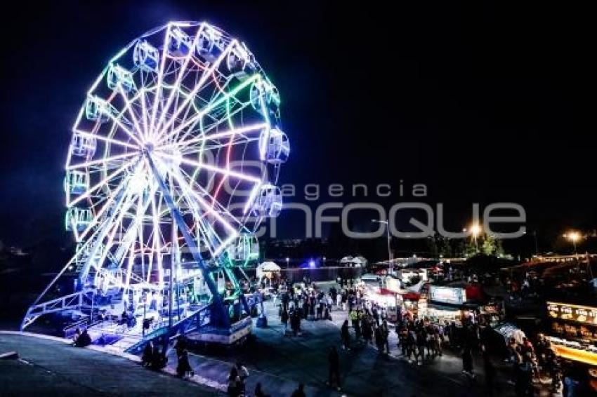 FESTIVAL DREAMFIELDS