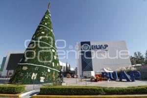 CCU . ÁRBOL DE NAVIDAD