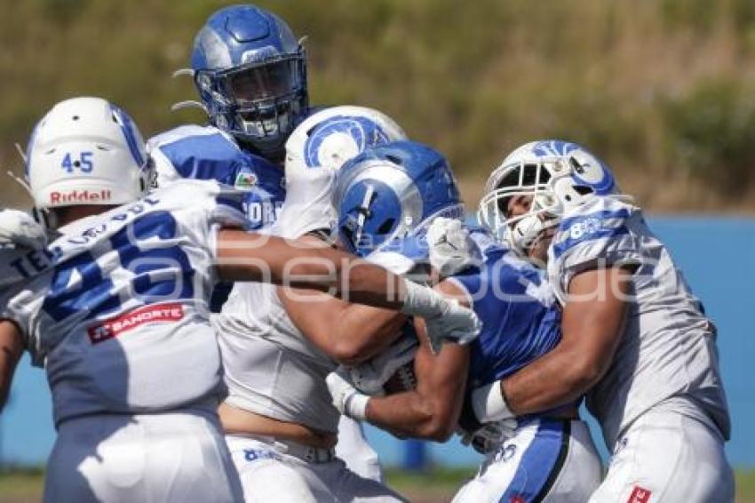 FUTBOL AMERICANO . BORREGOS VS GUADALAJARA