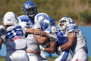 FUTBOL AMERICANO . BORREGOS VS GUADALAJARA
