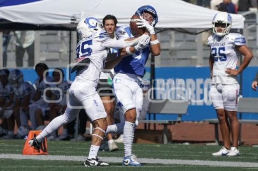 FUTBOL AMERICANO . BORREGOS VS GUADALAJARA