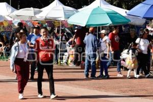 FESTIVAL DE LA CHALUPA