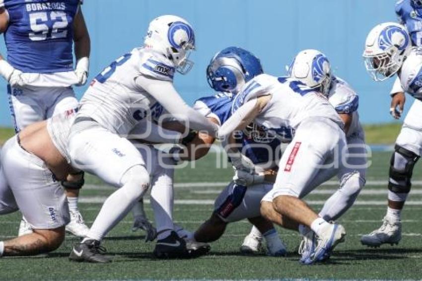 FUTBOL AMERICANO . BORREGOS VS GUADALAJARA