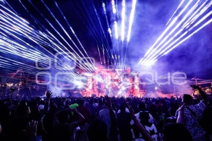 FESTIVAL DREAMFIELDS