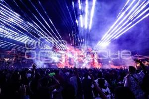 FESTIVAL DREAMFIELDS