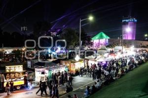 FESTIVAL DREAMFIELDS