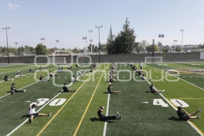 NUEVA CANCHA . LAGARTOS CLUB ALPHA