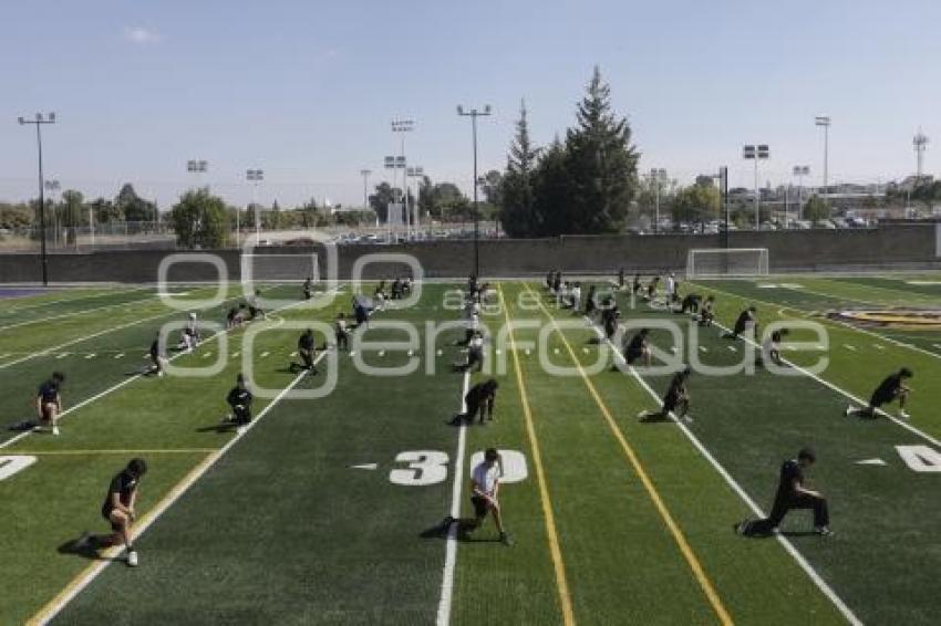 NUEVA CANCHA . LAGARTOS CLUB ALPHA