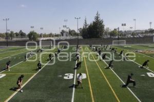 NUEVA CANCHA . LAGARTOS CLUB ALPHA