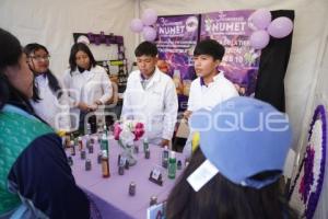 TLAXCALA . CONGRESO NUMET