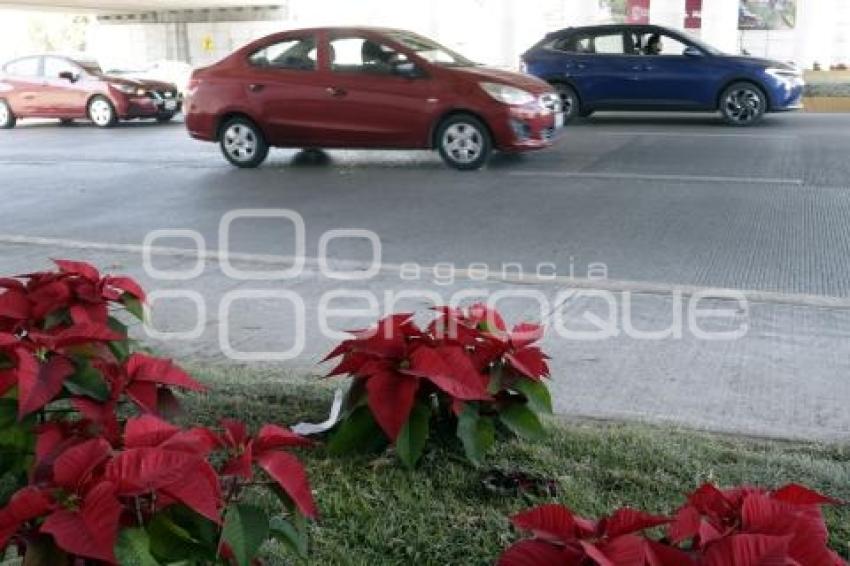 VÍA ATLIXCAYOTL . ADORNOS NAVIDEÑOS