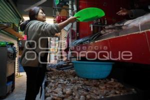 TLAXCALA . ANIVERSARIO MERCADO HIDALGO