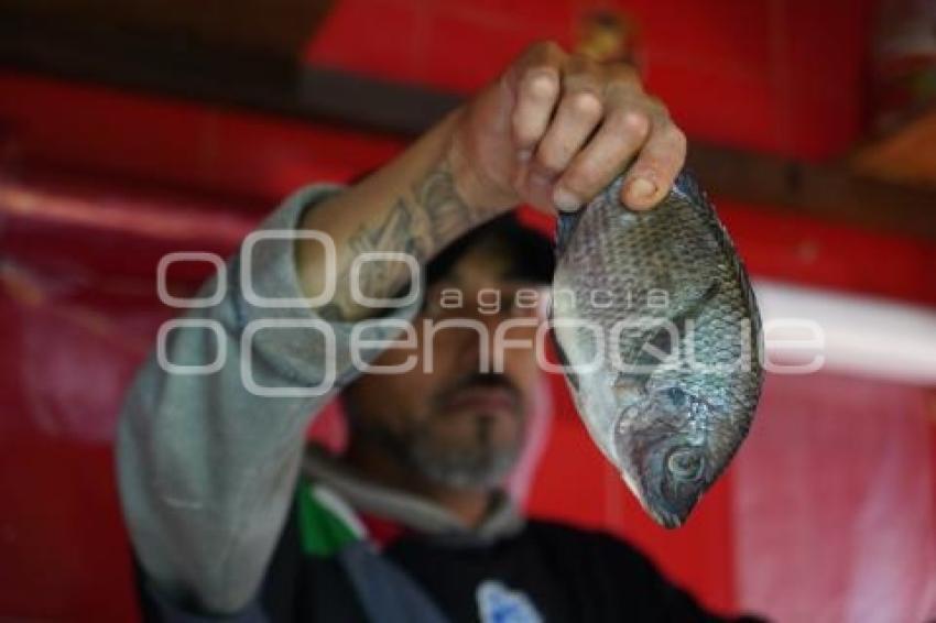 TLAXCALA . ANIVERSARIO MERCADO HIDALGO