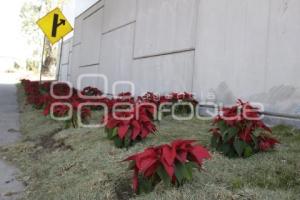 VÍA ATLIXCAYOTL . ADORNOS NAVIDEÑOS