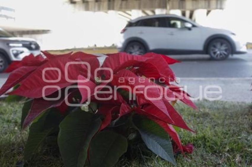 VÍA ATLIXCAYOTL . ADORNOS NAVIDEÑOS