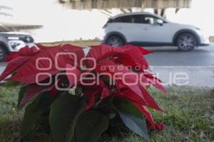 VÍA ATLIXCAYOTL . ADORNOS NAVIDEÑOS