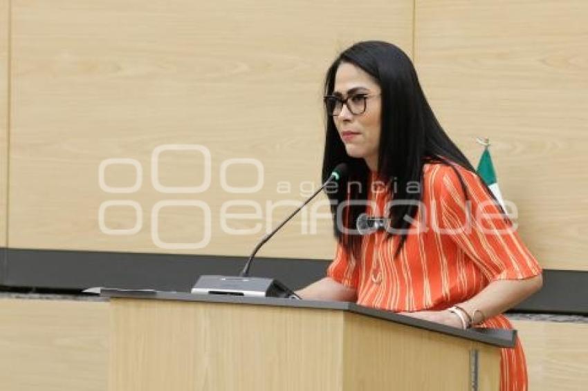 CONGRESO . SESIÓN ORDINARIA