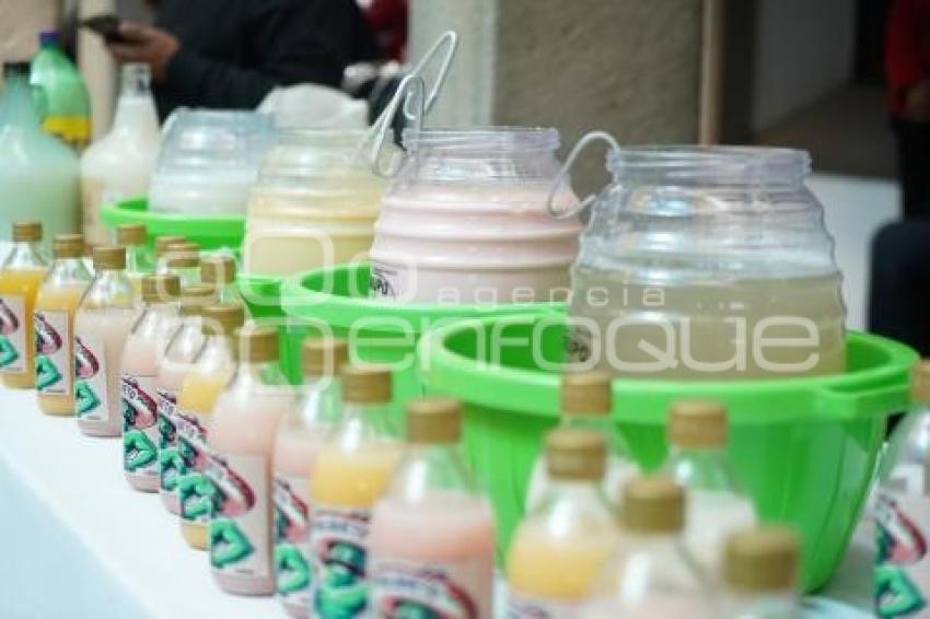 TLAXCALA . PARLAMENTO DE TLACHIQUEROS