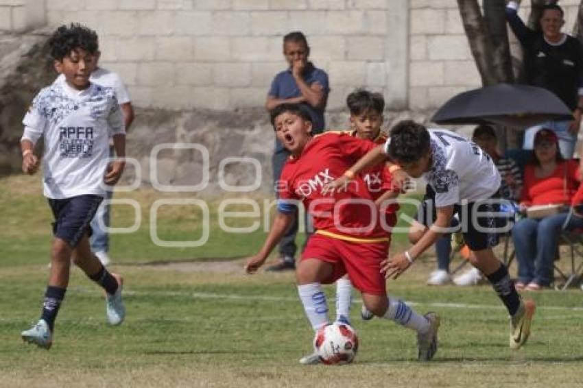 CAMPEONATO NACIONAL DE FUTBOL