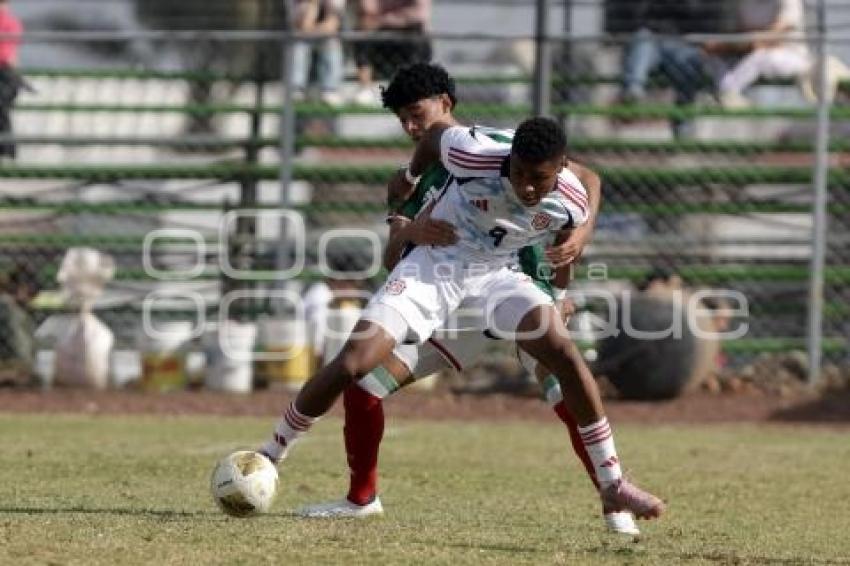 TORNEO CUATRO NACIONES