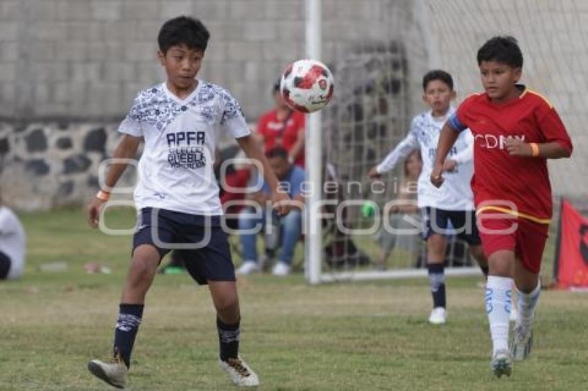 CAMPEONATO NACIONAL DE FUTBOL