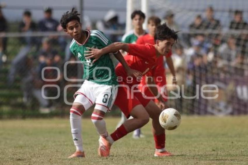 TORNEO CUATRO NACIONES