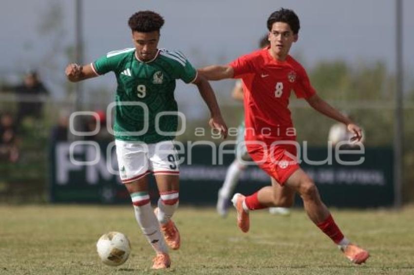 TORNEO CUATRO NACIONES