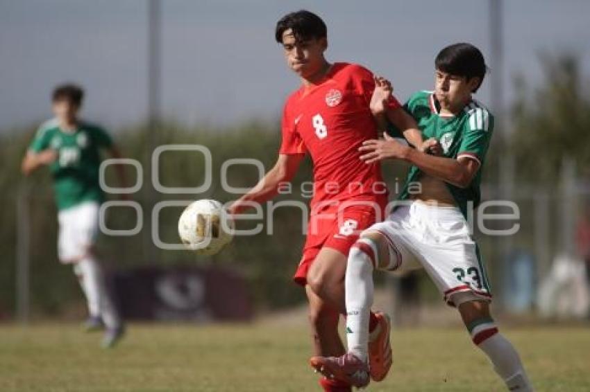 TORNEO CUATRO NACIONES