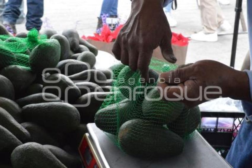 ATLIXCO . FERIA DEL AGUACATE