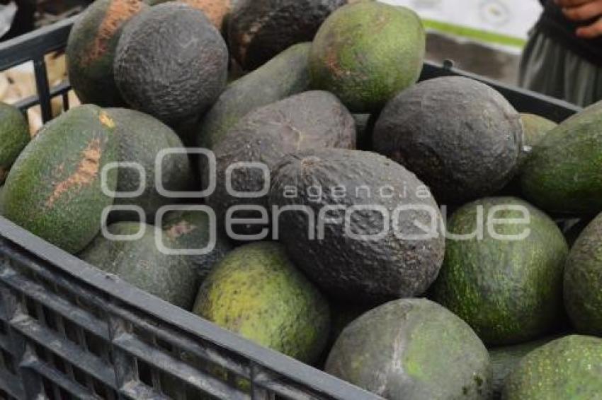 ATLIXCO . FERIA DEL AGUACATE