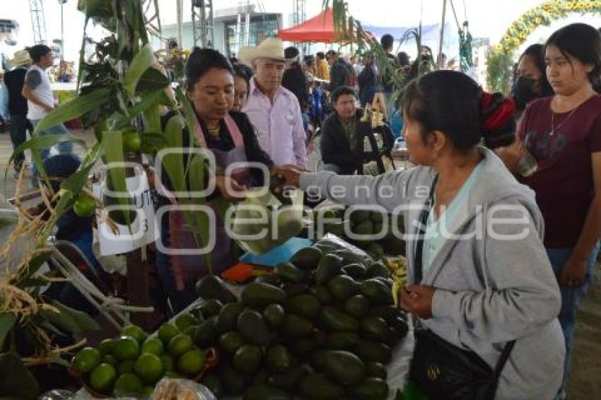 ATLIXCO . FERIA DEL AGUACATE