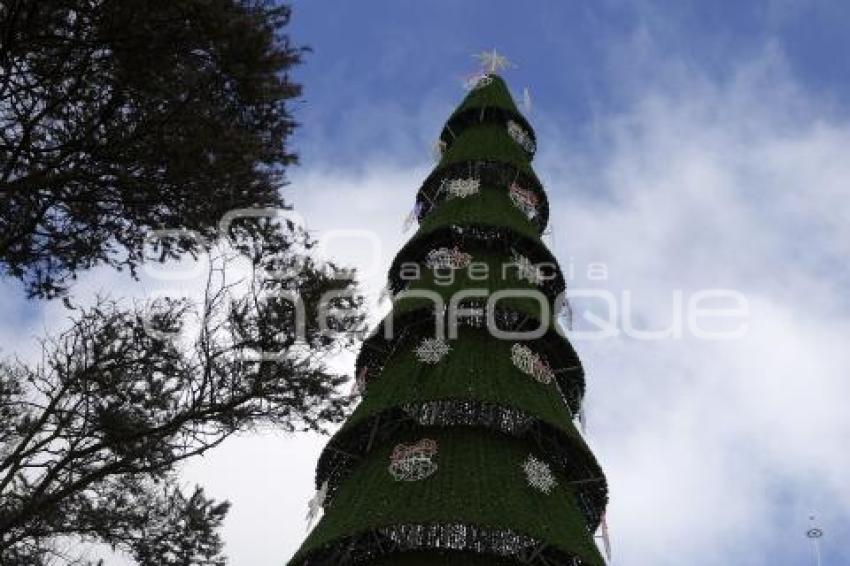 CHIGNAHUAPAN . ÁRBOL DE NAVIDAD