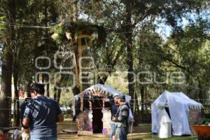 TLAXCALA . ADORNOS JARDÍN BOTANICO
