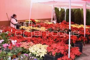 TLAXCALA . DÍA DE LA NOCHEBUENA