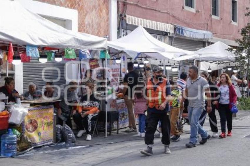 VENDIMIA . VIRGEN DE LA CONCEPCIÓN