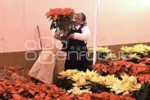 TLAXCALA . DÍA DE LA NOCHEBUENA