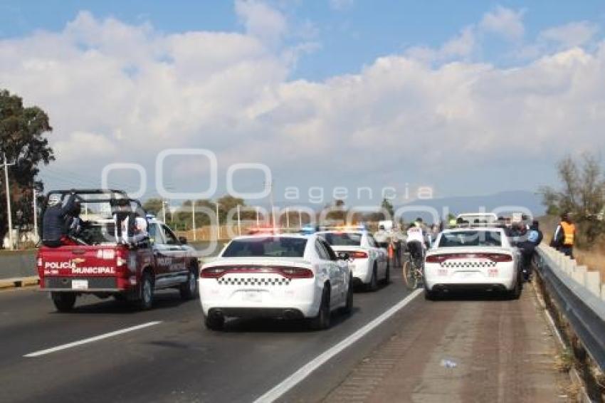 PEREGRINO ATROPELLADO