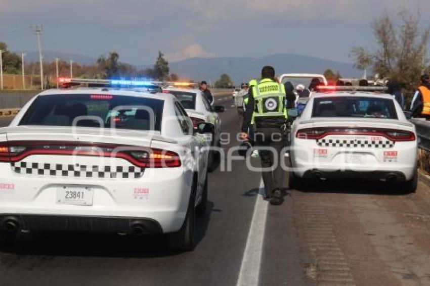 PEREGRINO ATROPELLADO