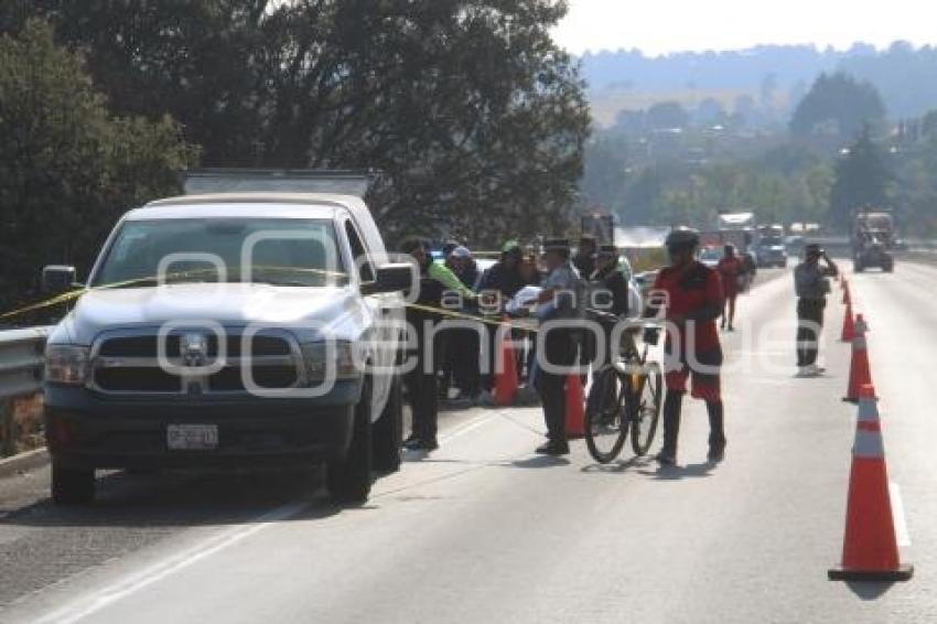 PEREGRINO ATROPELLADO