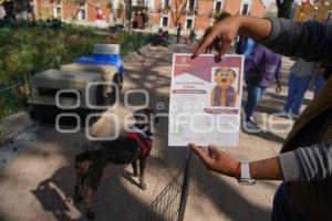 TLAXCALA . CAMPAÑA DE ADOPCIÓN DE PERROS